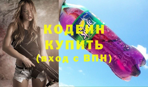 твердый Инсар