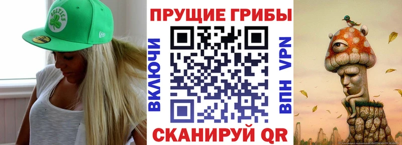 OMG ССЫЛКА Пенза Псилоцибиновые грибы мухоморы
